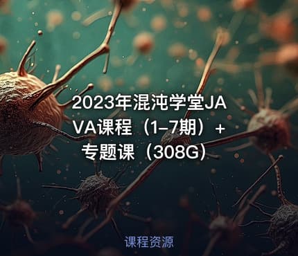 2023年混沌学堂JAVA课程（1-7期）+专题课（308G）