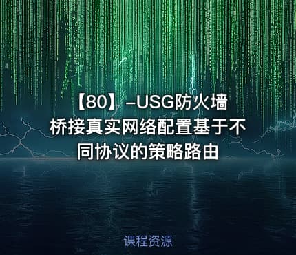 【80】-USG防火墙桥接真实网络配置基于不同协议的策略路由