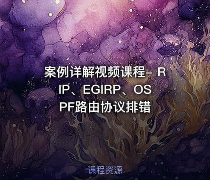 案例详解视频课程- RIP、EGIRP、OSPF路由协议排错