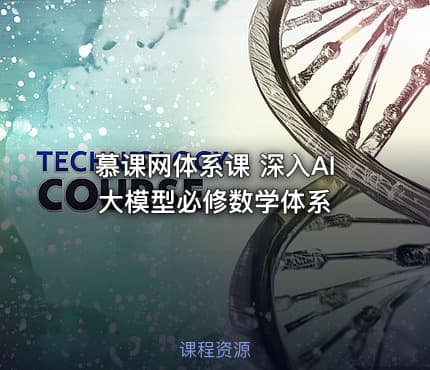 慕课网体系课 深入AI 大模型必修数学体系