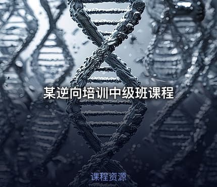 某逆向培训中级班课程