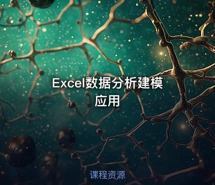 Excel数据分析建模应用