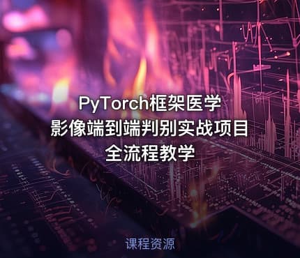 PyTorch框架医学影像端到端判别实战项目全流程教学