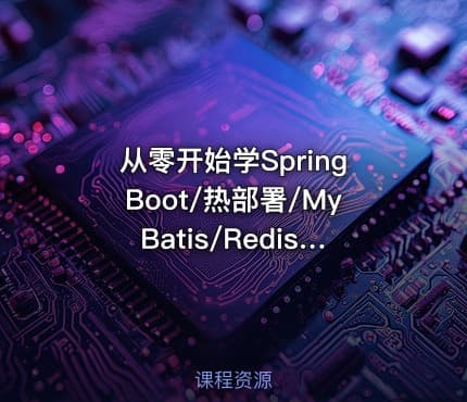 从零开始学SpringBoot/热部署/MyBatis/Redis/持久化