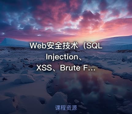 Web安全技术（SQL Injection、XSS、Brute Force等）