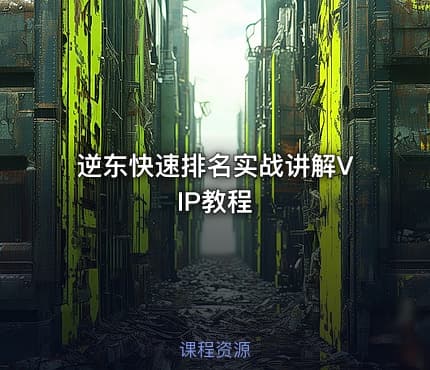 逆东快速排名实战讲解VIP教程