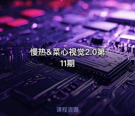 慢热&菜心视觉2.0第11期