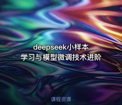 deepseek小样本学习与模型微调技术进阶