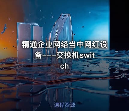 精通企业网络当中网红设备---交换机switch