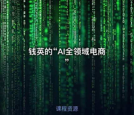 钱英的“AI全领域电商”