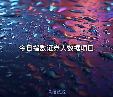 今日指数证券大数据项目