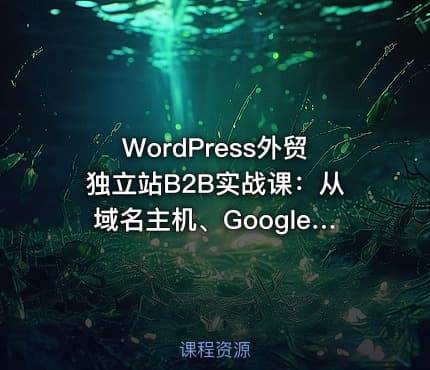 WordPress外贸独立站B2B实战课：从域名主机、Google SEO与询盘获客完整系统教学