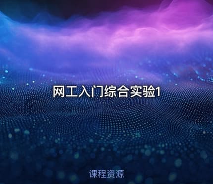 网工入门综合实验1