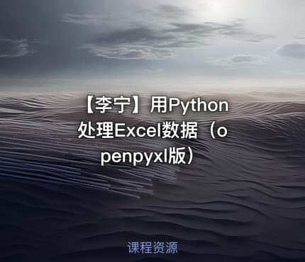 【李宁】用Python处理Excel数据（openpyxl版）