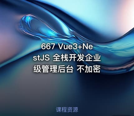 667 Vue3+NestJS 全栈开发企业级管理后台 不加密