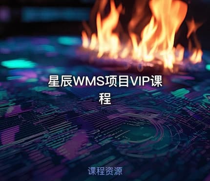 星辰WMS项目VIP课程