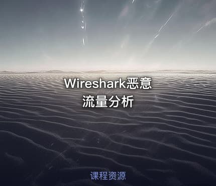 Wireshark恶意流量分析