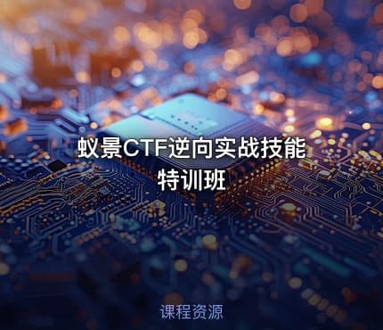 蚁景CTF逆向实战技能特训班
