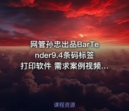 网管孙忠出品BarTender9.4条码标签打印软件 需求案例视频教程