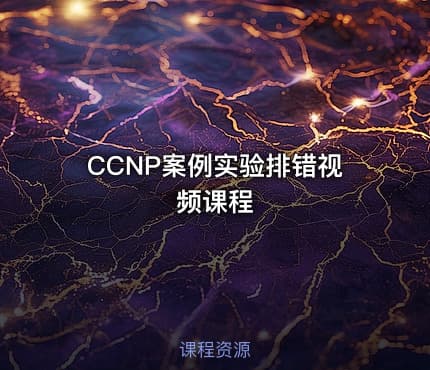 CCNP案例实验排错视频课程