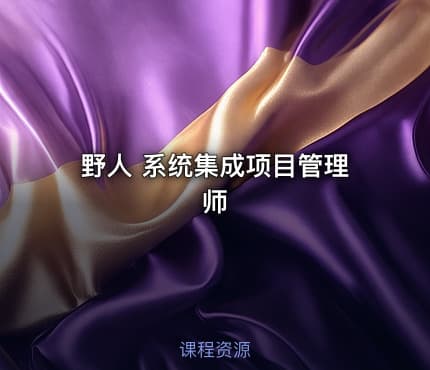 野人 系统集成项目管理师