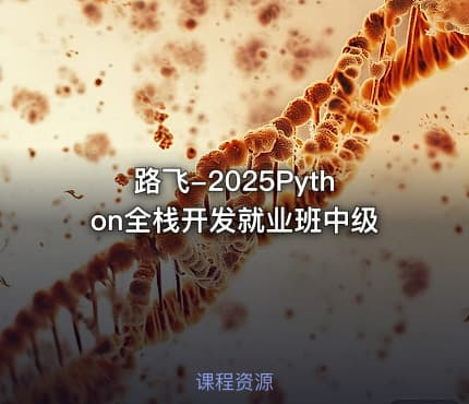 路飞-2025Python全栈开发就业班中级