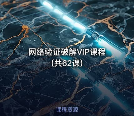 网络验证破解VIP课程(共62课)