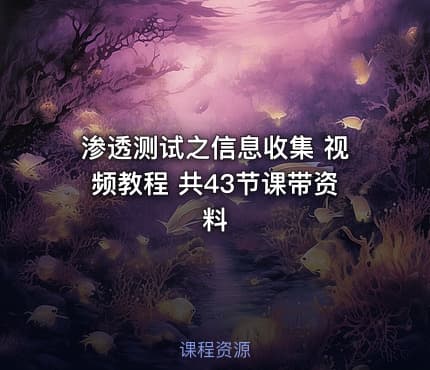 渗透测试之信息收集 视频教程 共43节课带资料