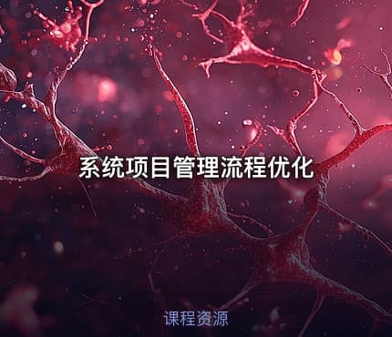 系统项目管理流程优化