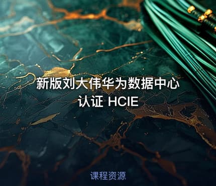 新版刘大伟华为数据中心认证 HCIE