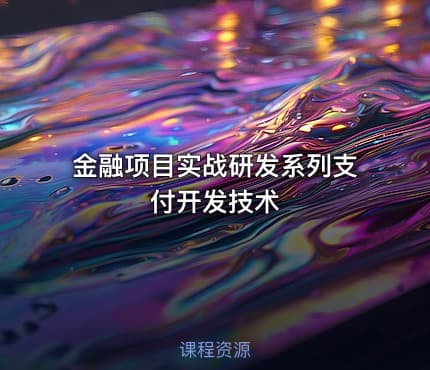 金融项目实战研发系列支付开发技术