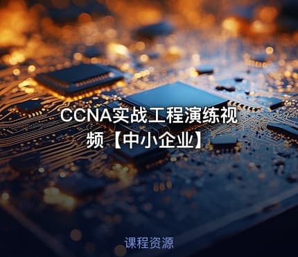 CCNA实战工程演练视频【中小企业】