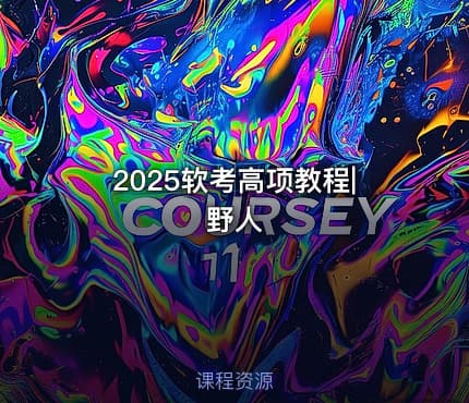 2025软考高项教程|野人