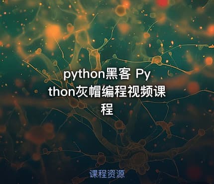 python黑客 Python灰帽编程视频课程