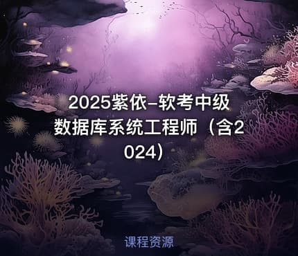 2025紫依-软考中级数据库系统工程师（含2024）