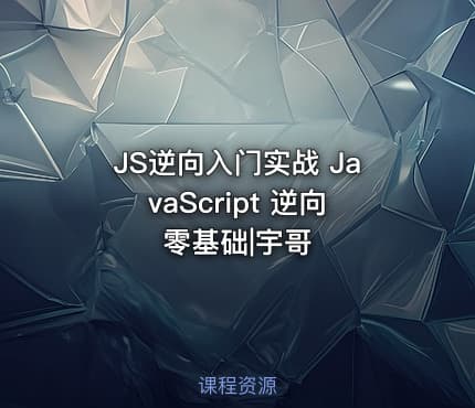 JS逆向入门实战 JavaScript 逆向零基础|宇哥