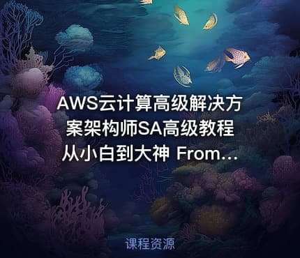 AWS云计算高级解决方案架构师SA高级教程 从小白到大神 From Zero To Hero