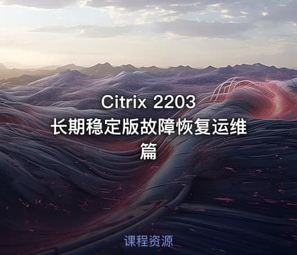 Citrix 2203长期稳定版故障恢复运维篇