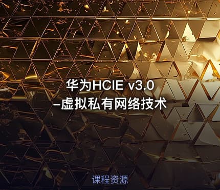 华为HCIE v3.0-虚拟私有网络技术