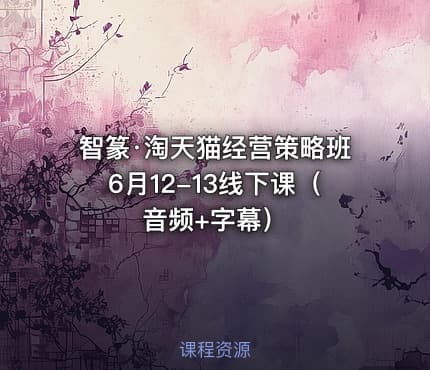 智篆·淘天猫经营策略班6月12-13线下课（音频+字幕）