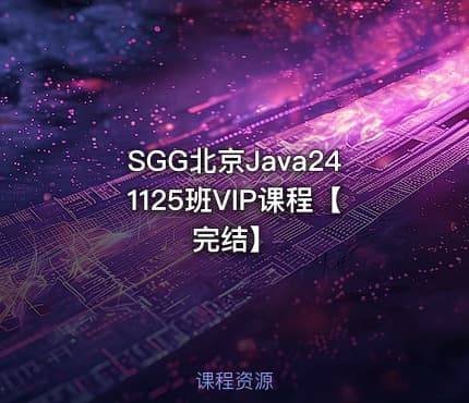 SGG北京Java241125班VIP课程【完结】