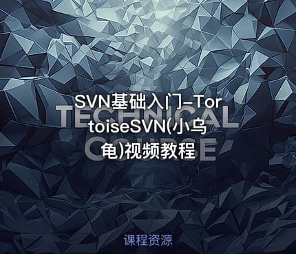 SVN基础入门-TortoiseSVN(小乌龟)视频教程