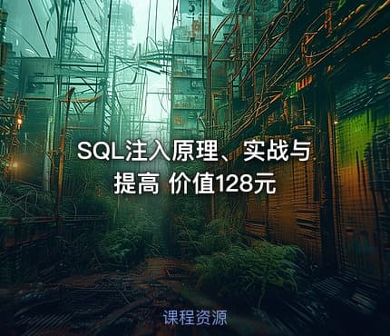 SQL注入原理、实战与提高 价值128元