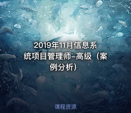 2019年11月信息系统项目管理师-高级（案例分析）