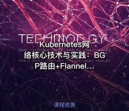 Kubernetes网络核心技术与实践：BGP路由+Flannel/Calico/Cilium网络模型+IPAM与多网卡Multus