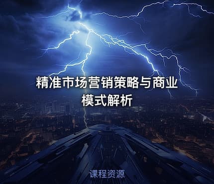 精准市场营销策略与商业模式解析