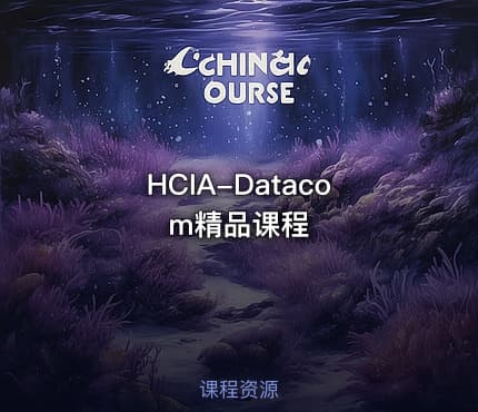 HCIA-Datacom精品课程