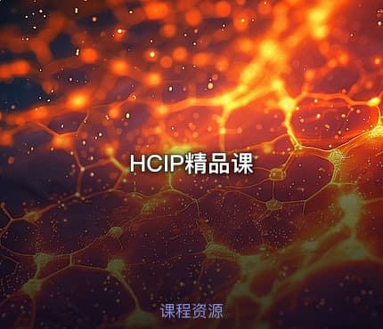 HCIP精品课