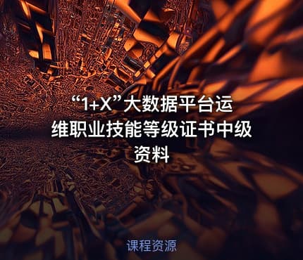 “1+X”大数据平台运维职业技能等级证书中级资料