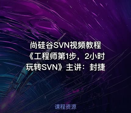 尚硅谷SVN视频教程 《工程师第1步，2小时玩转SVN》主讲：封捷